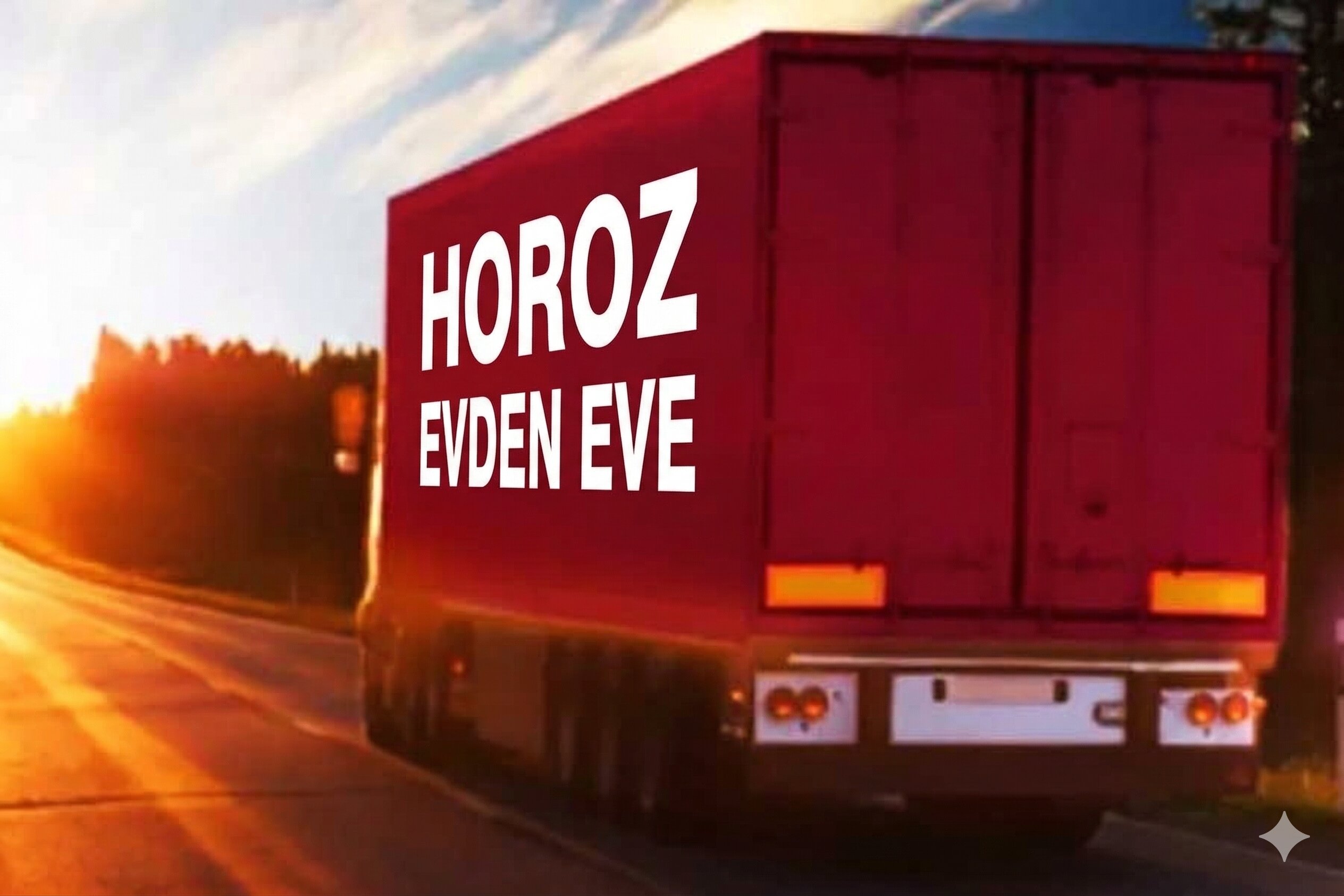 Horoz nakliyat filo aracı